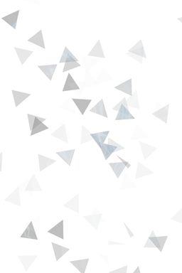 项目示例