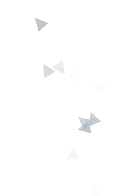 项目示例